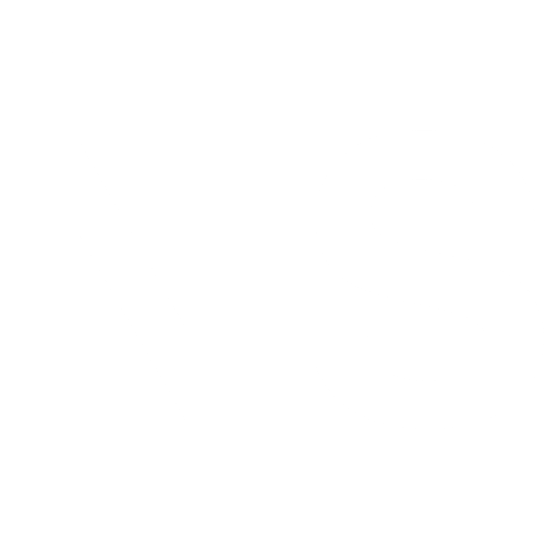 ns_logo_negative