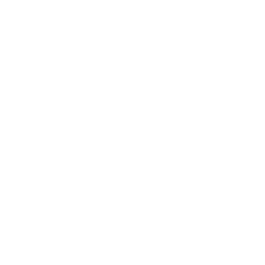 ns_logo_negative