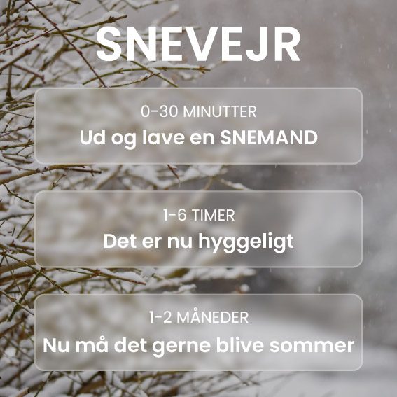 Snevejr – infografik