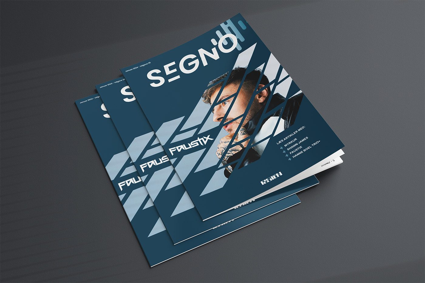 Segno – magasindesign, samme kampagne